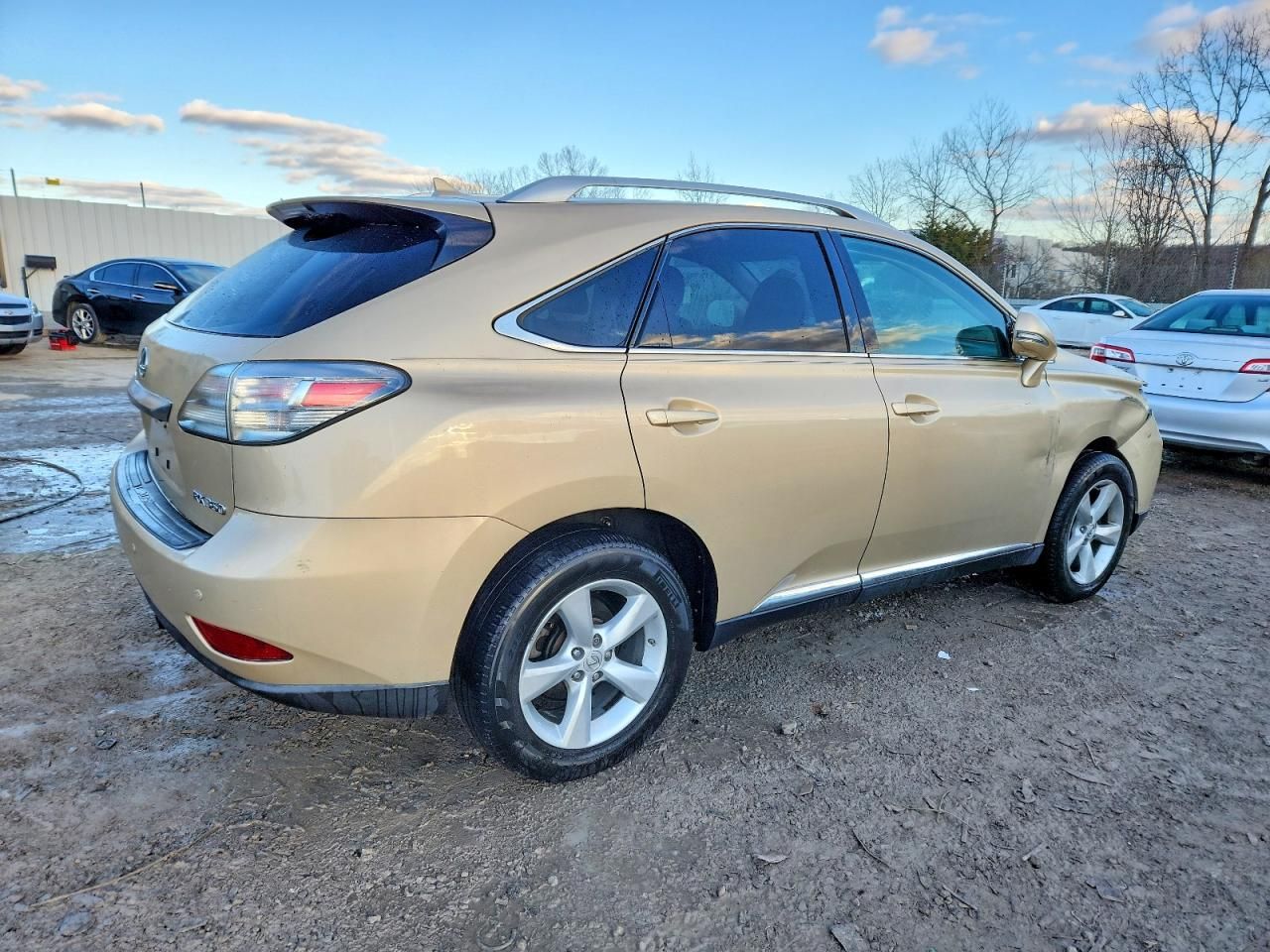 2010 Lexus Rx 350