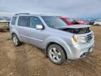 2014 Honda Pilot exl