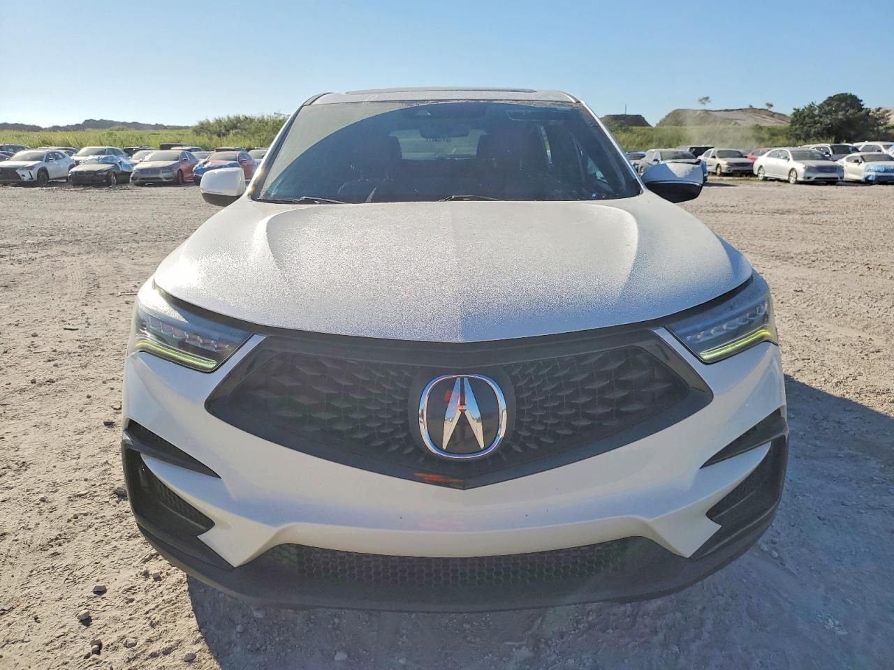2019 Acura Rdx A-spec