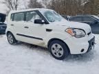 2011 KIA Soul