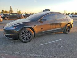 2025 Tesla Model 3 for sale in Rancho Cucamonga, CA