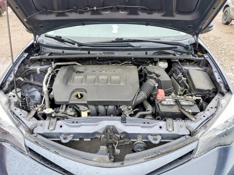 2019 Toyota Corolla l