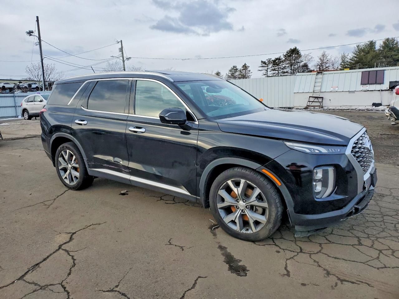 2020 Hyundai Palisade sel