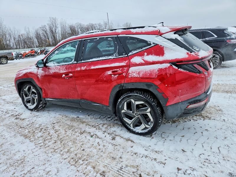 2023 Hyundai Tucson Limited