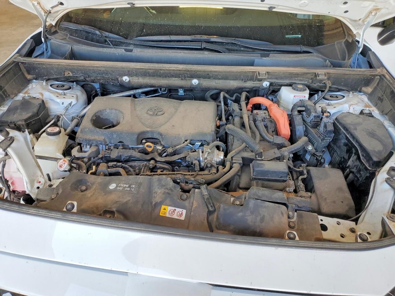 2024 Toyota Rav4 Woodland Edition