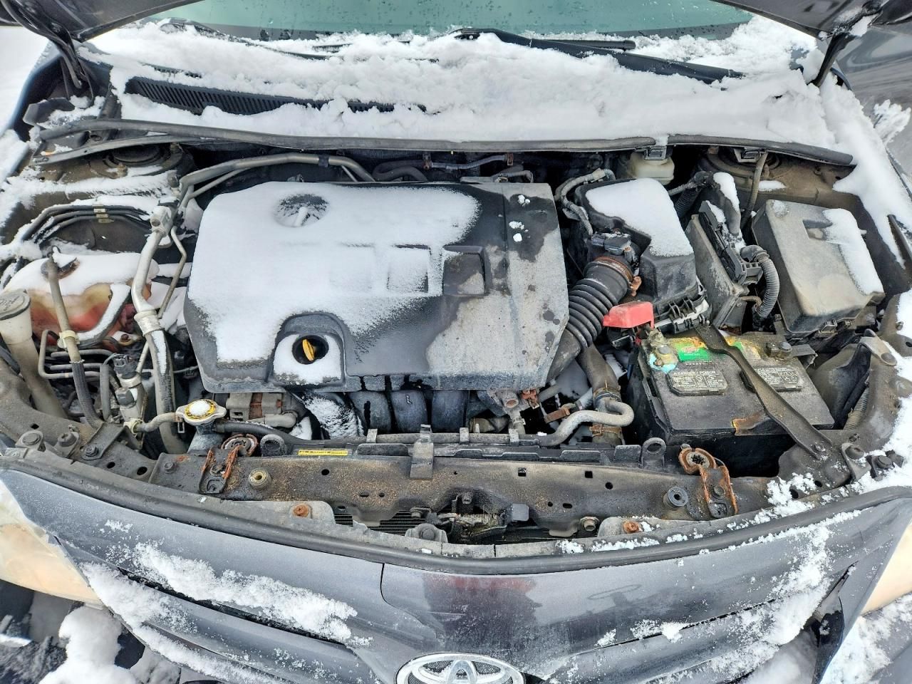 2011 Toyota Corolla Base