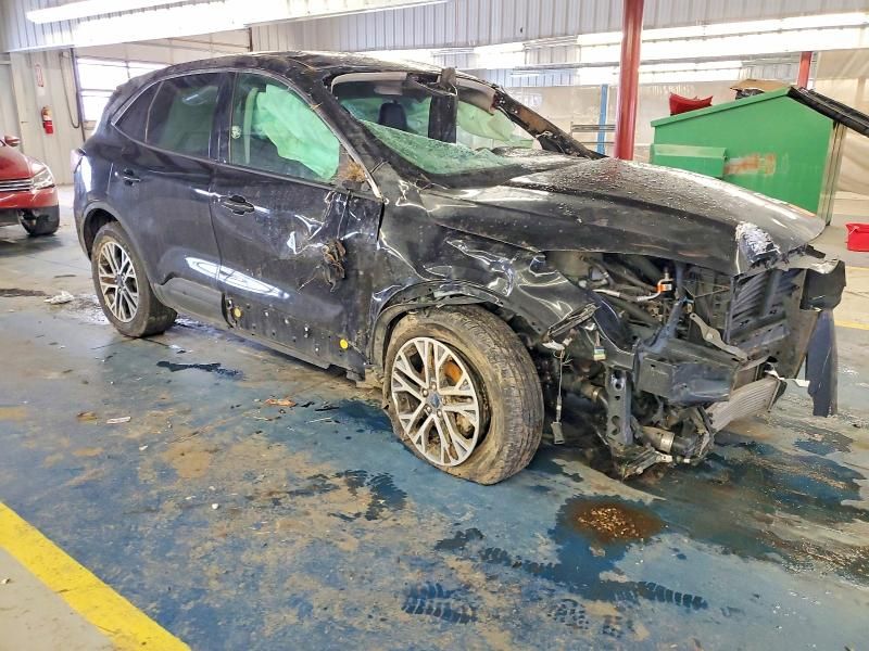 2022 Ford Escape sel