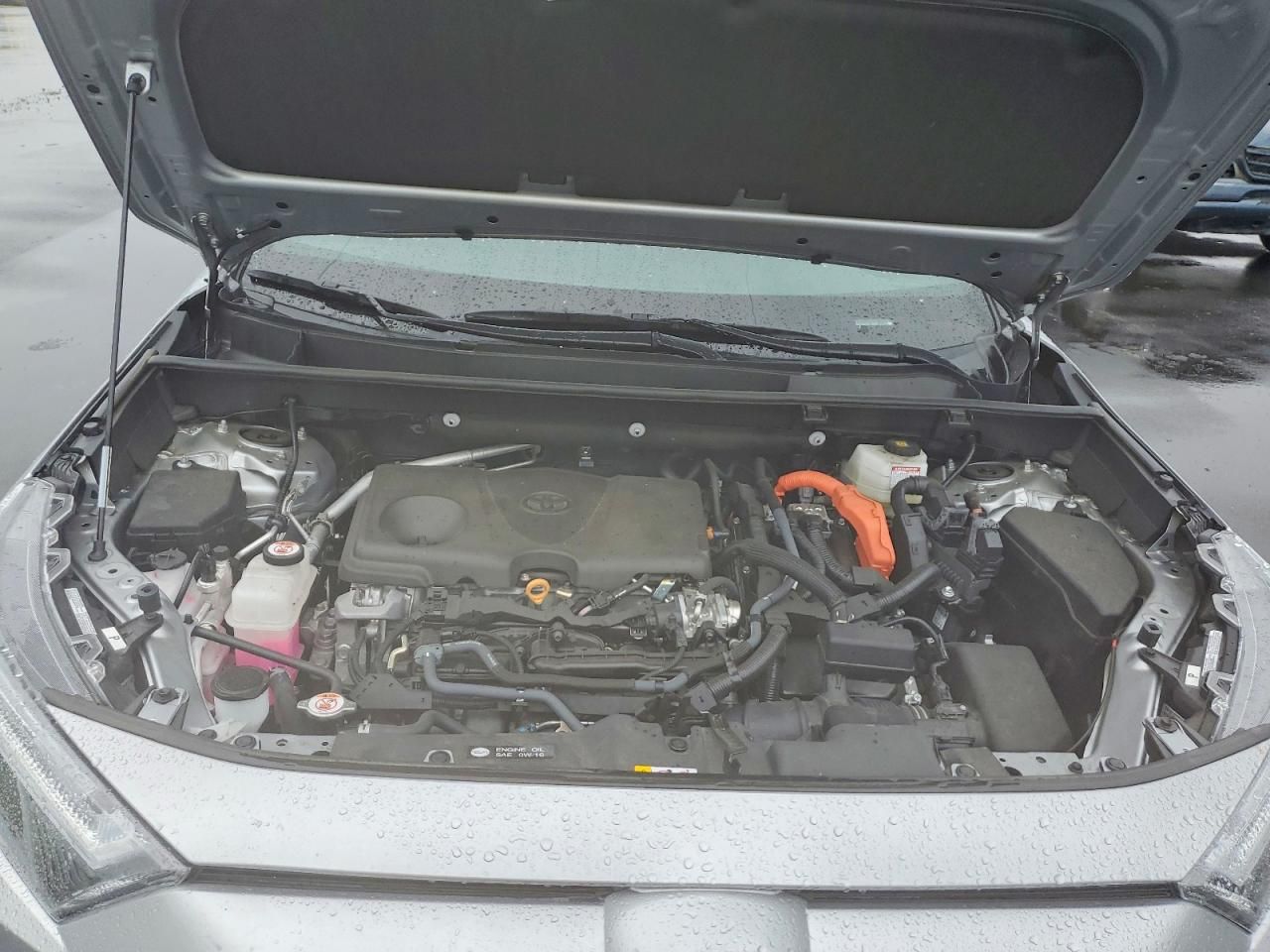 2024 Toyota Rav4 xse