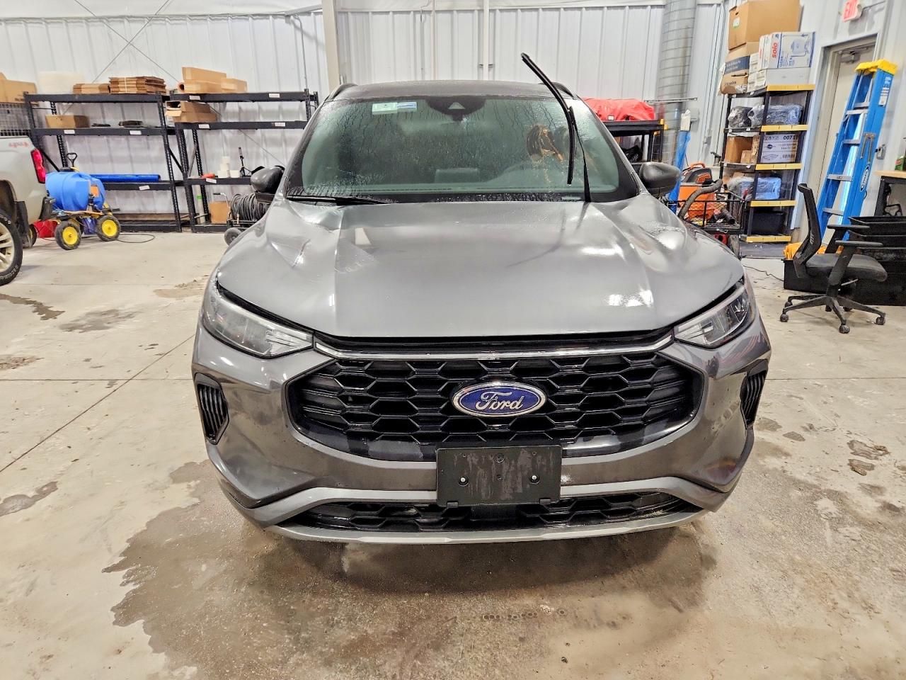 2024 Ford Escape st Line