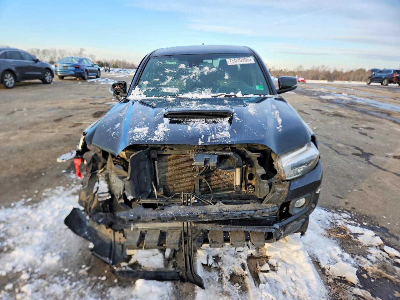 2020 Toyota Tacoma trd Sport