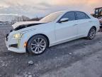 2019 Cadillac Cts Luxury