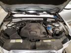 2014 Audi Q5 tdi Premium Plus