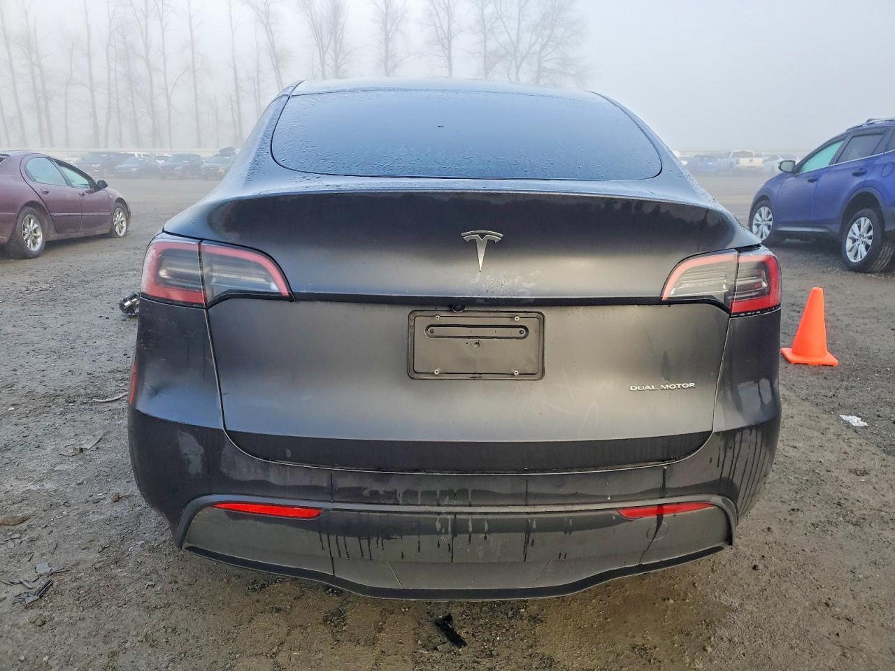 2025 Tesla Model y