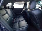 2008 Acura Rdx Technology