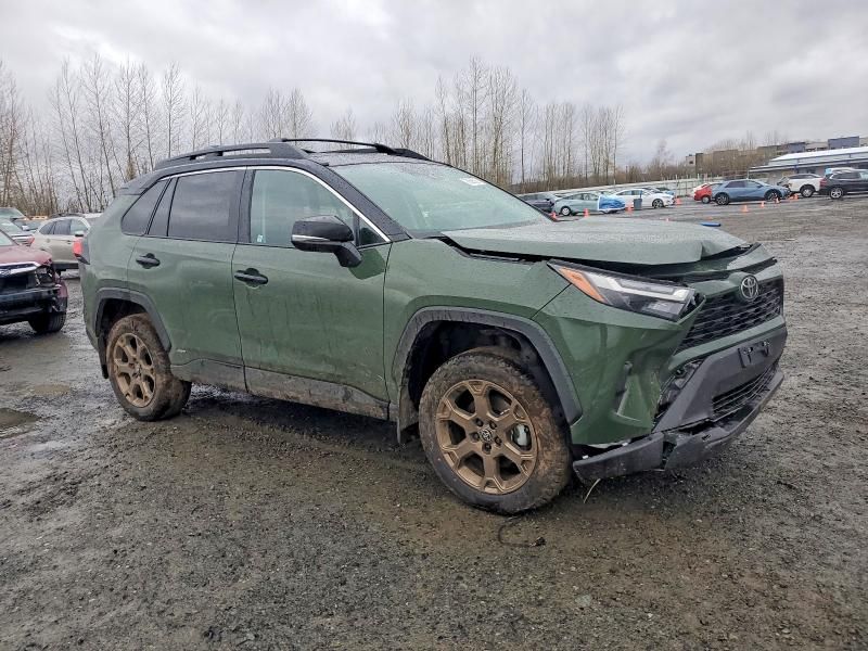 2025 Toyota Rav4 Woodland Edition