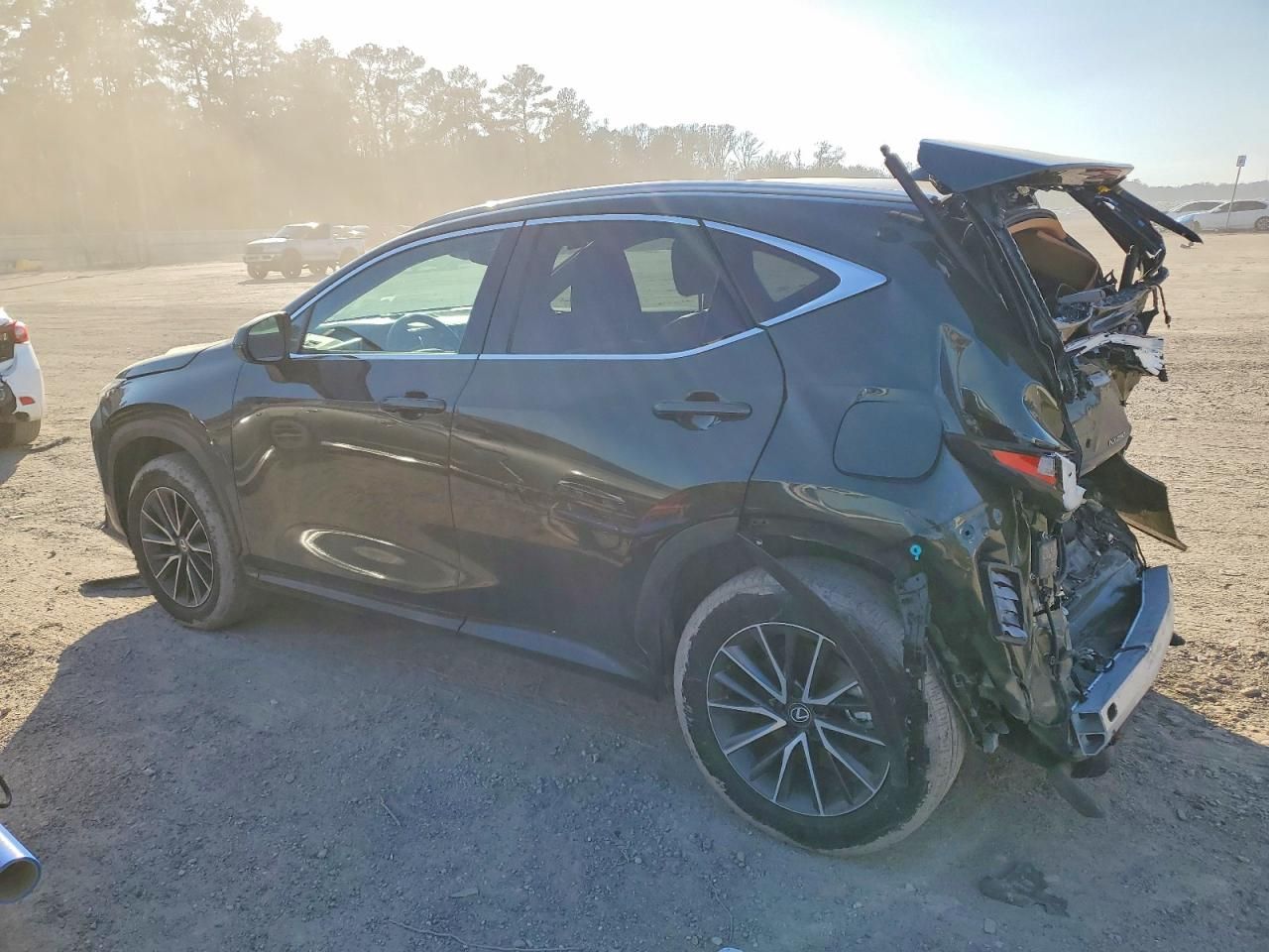 2024 Lexus Nx 250 Premium