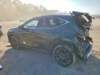 2024 Lexus Nx 250 Premium