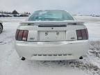 2003 Ford Mustang gt