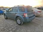 2010 Ford Escape Hybrid