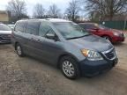 2009 Honda Odyssey exl