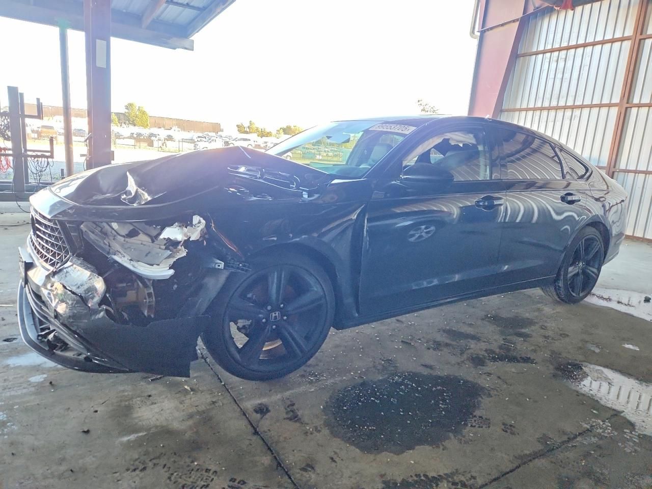 2024 Honda Accord Hybrid Sport-l