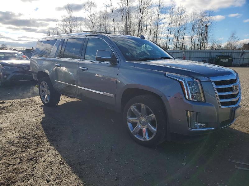 2019 Cadillac Escalade esv Luxury