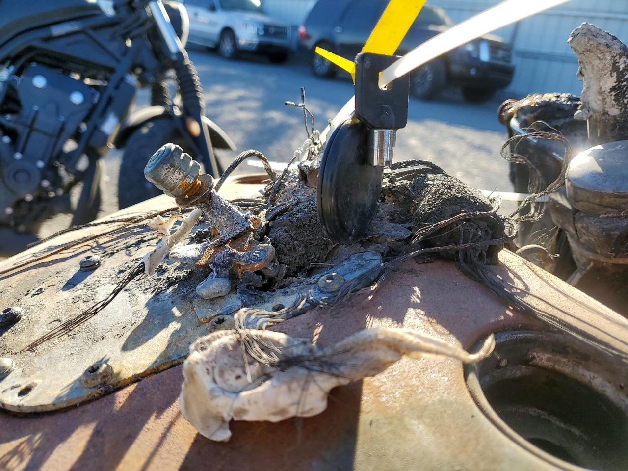 2004 Harley-Davidson Flstci