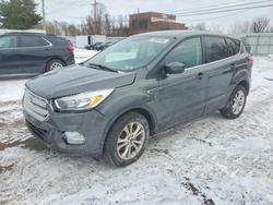 2019 Ford Escape se for sale in New Britain, CT