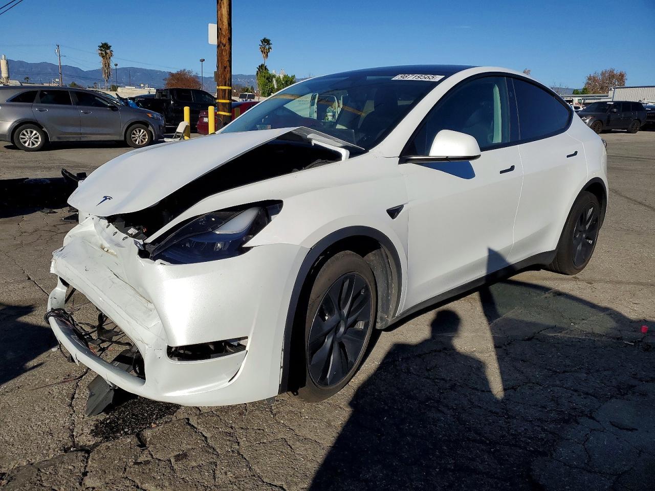 2024 Tesla Model y