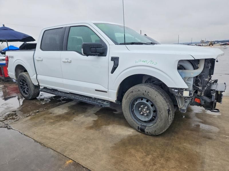 2024 Ford F150 xlt