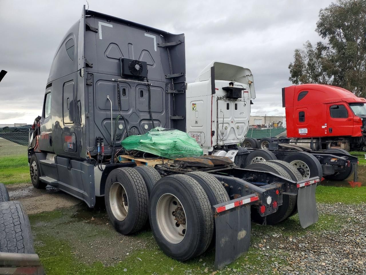 2020 Freigliner Cascadia 126