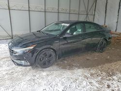 Hyundai salvage cars for sale: 2021 Hyundai Elantra Limited