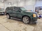 2003 Cadillac Escalade Luxury