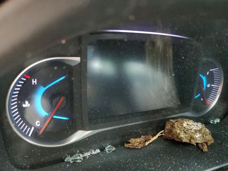 2020 Honda Passport Elite