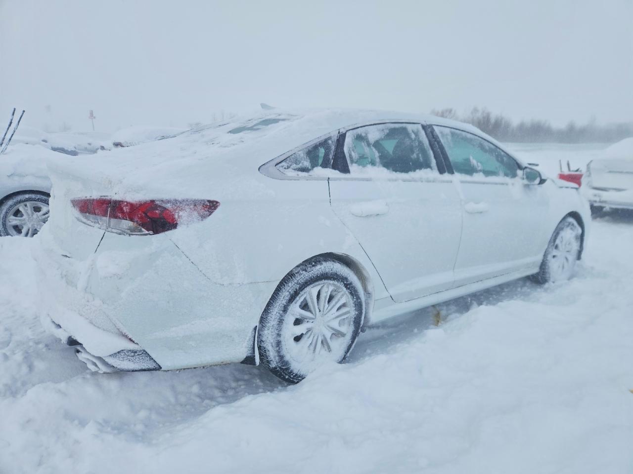 2019 Hyundai Sonata se