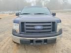 2009 Ford F150
