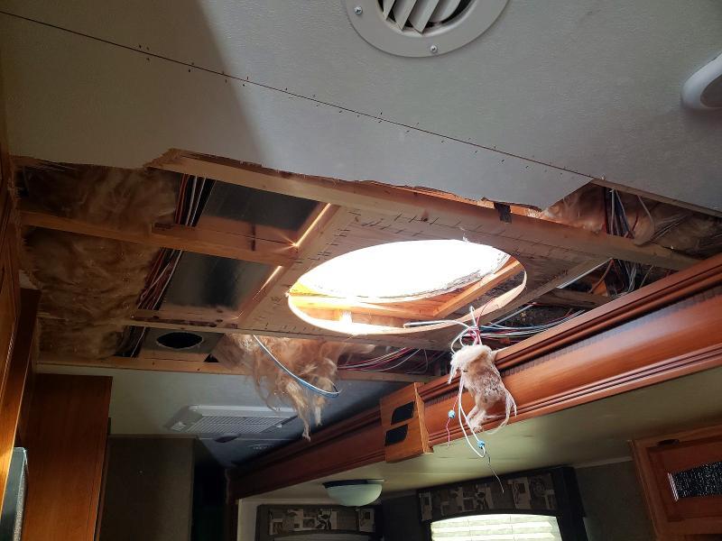 2015 Starcraft Autumn RID