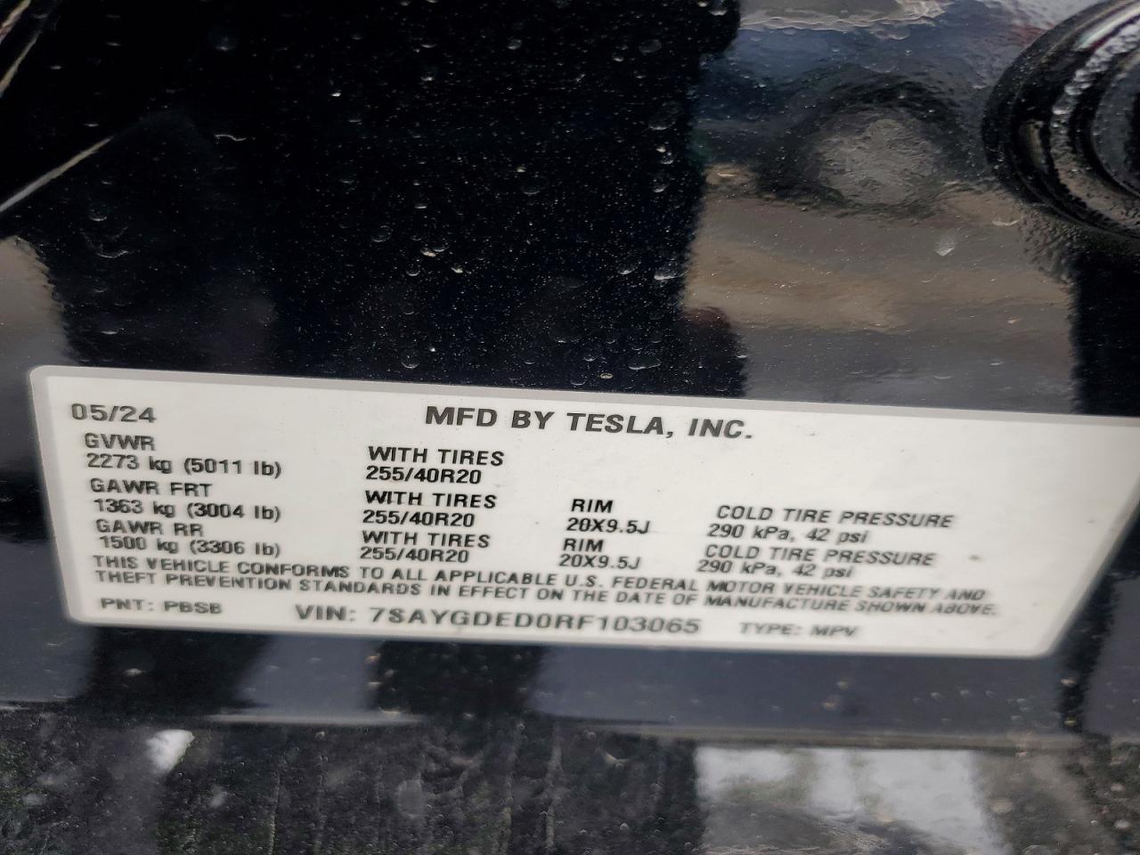 2024 Tesla Model y