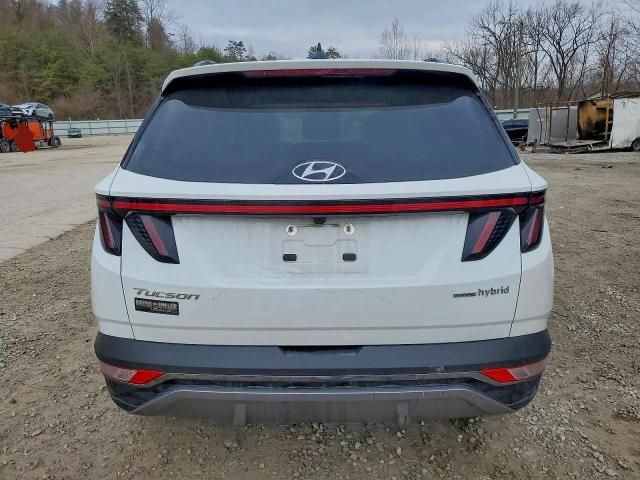 2024 Hyundai Tucson Limited