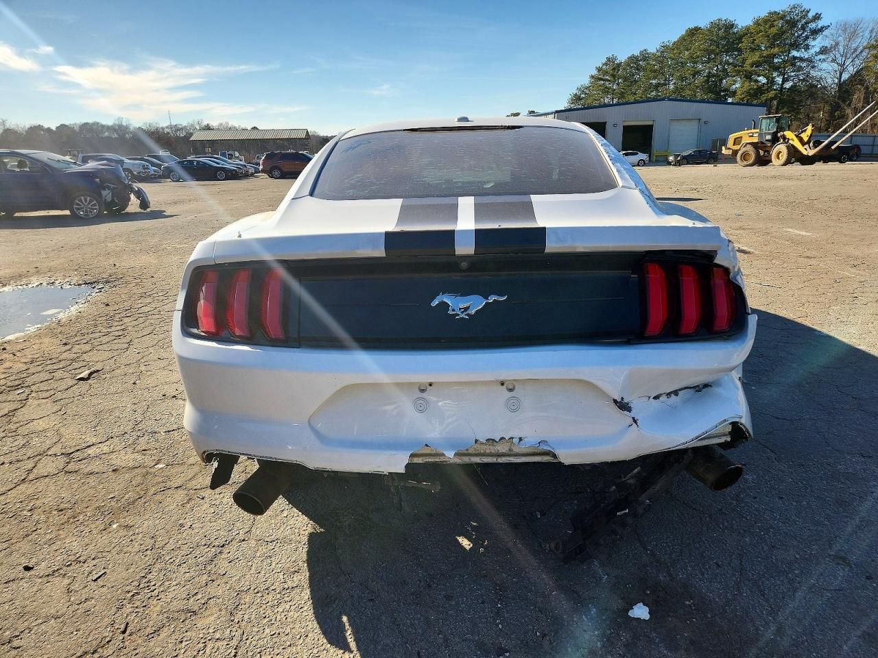 2019 Ford Mustang