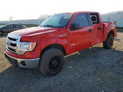 2013 Ford F150 Supercrew for sale in Anderson, CA