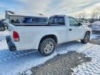 2004 Dodge Dakota SXT