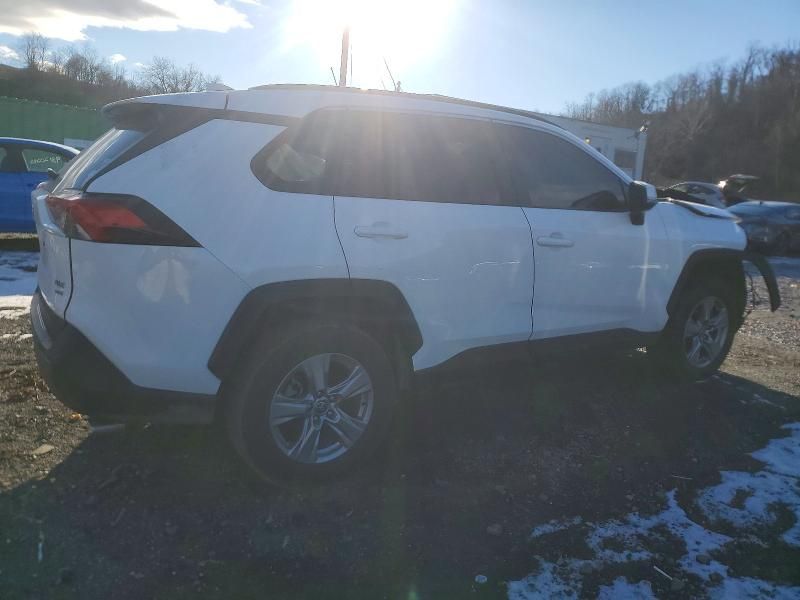 2025 Toyota Rav4 xle