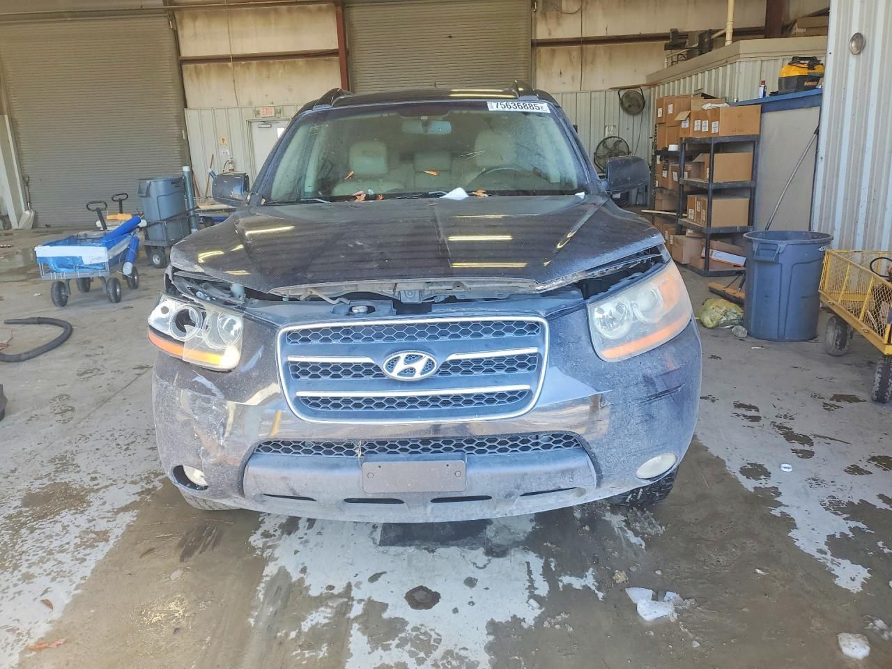 2008 Hyundai Santa fe se