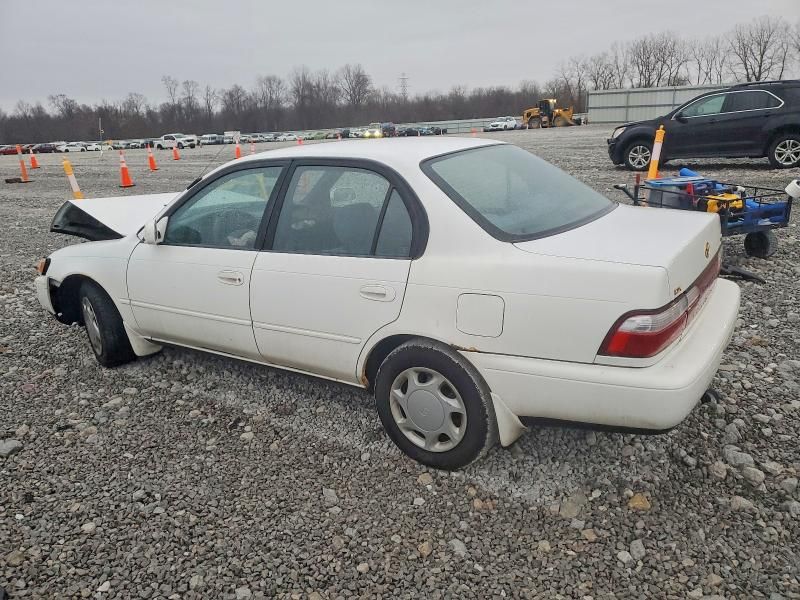 1997 Toyota Corolla dx