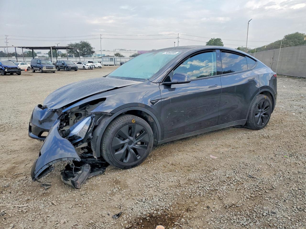 2025 Tesla Model y
