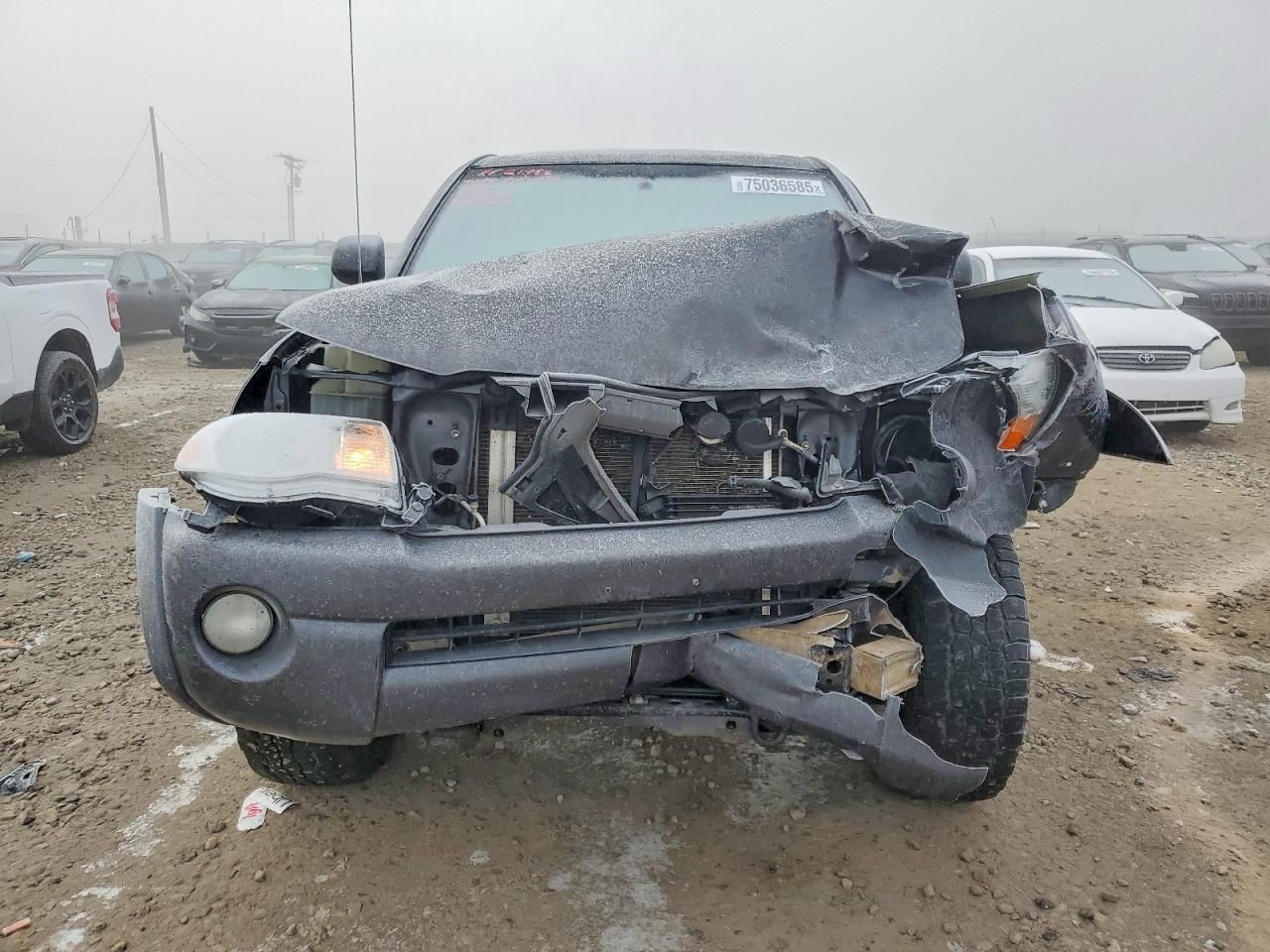 2009 Toyota Tacoma Double Cab