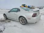 2003 Ford Mustang gt