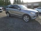 2015 Mercedes-Benz Ml 350