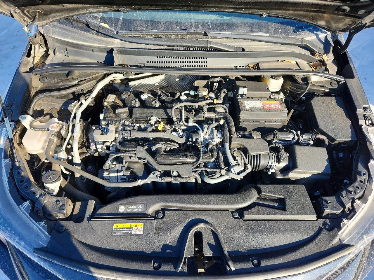 2023 Toyota Corolla le